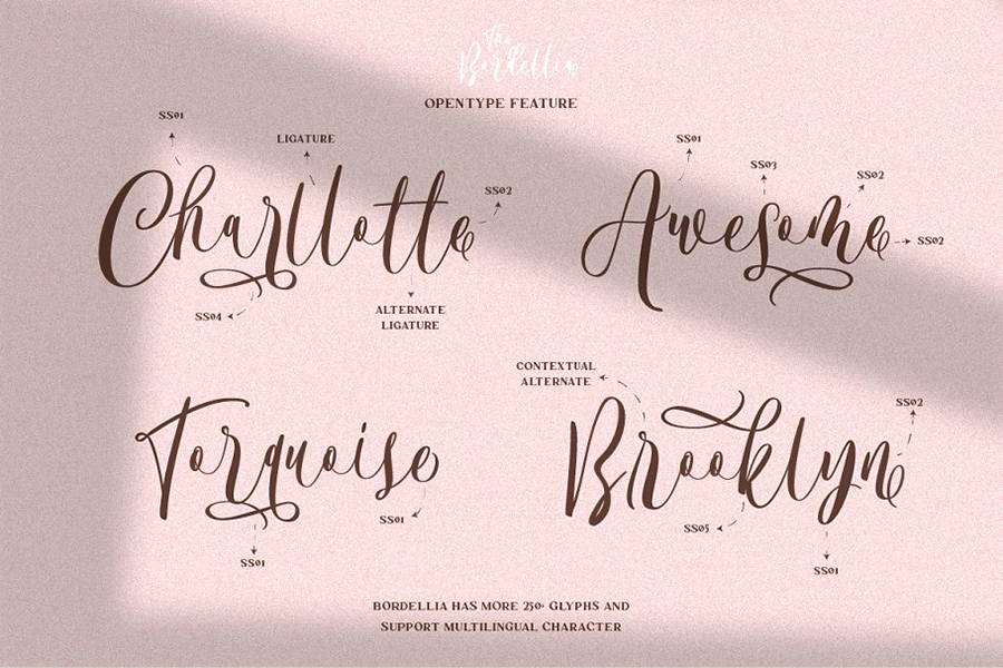 Bordellia Script Lettering Font sample