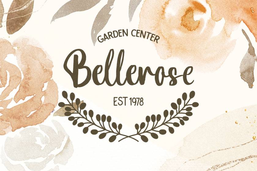 Bottanical Font sample