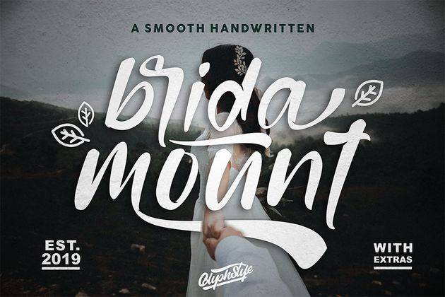 Bridamount Script Demo sample