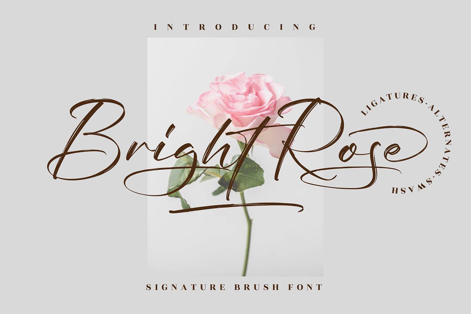 Bright Rose Font sample