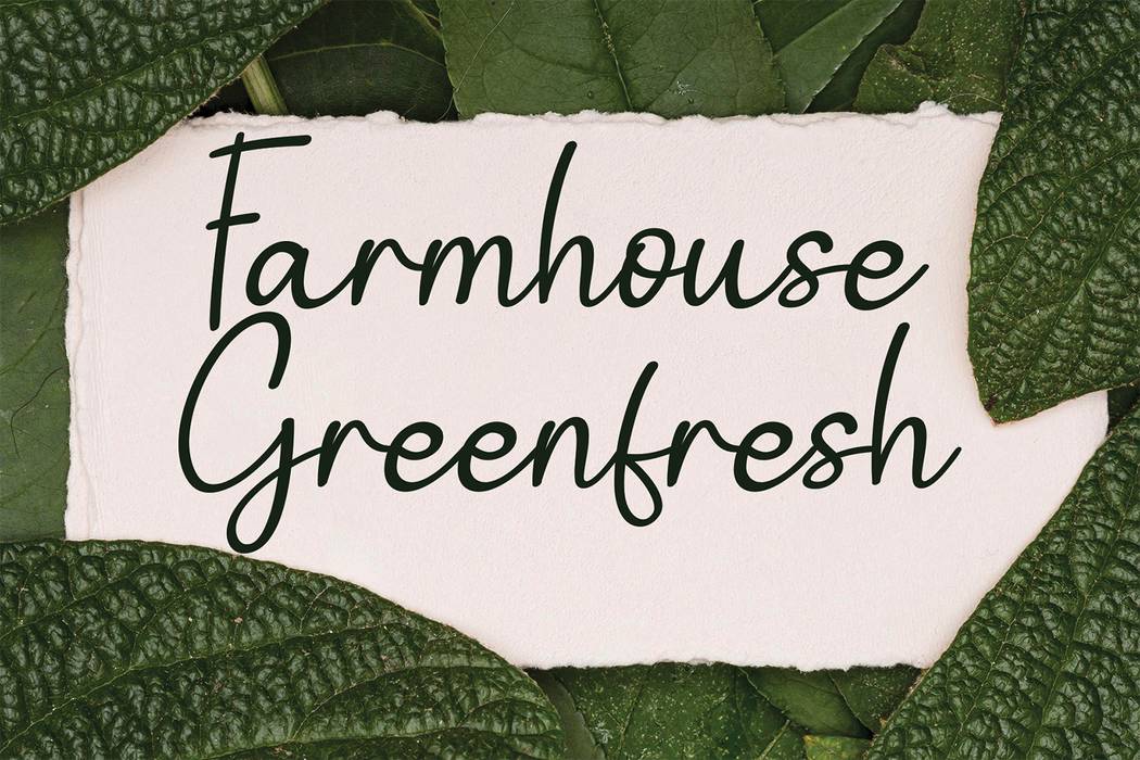 Brilliant Signature Font sample