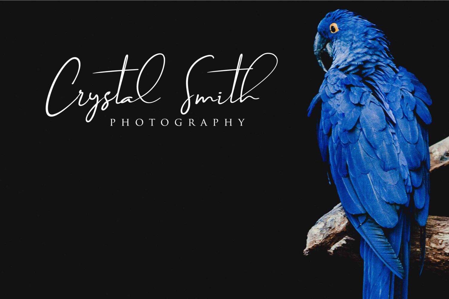 Brilliant Signature Typeface sample