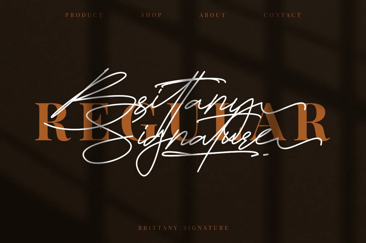 Brittany Signature Font sample