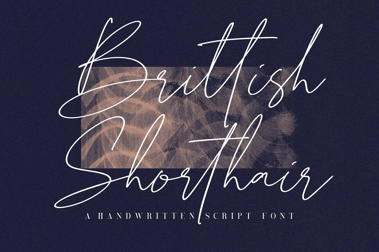 Brittish Sorthair Font sample