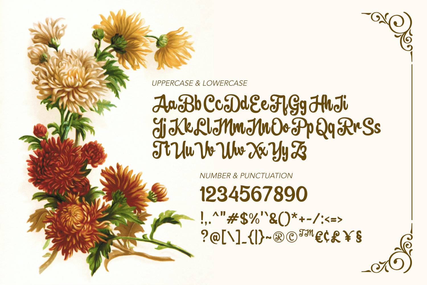 Brownie Fox Font sample