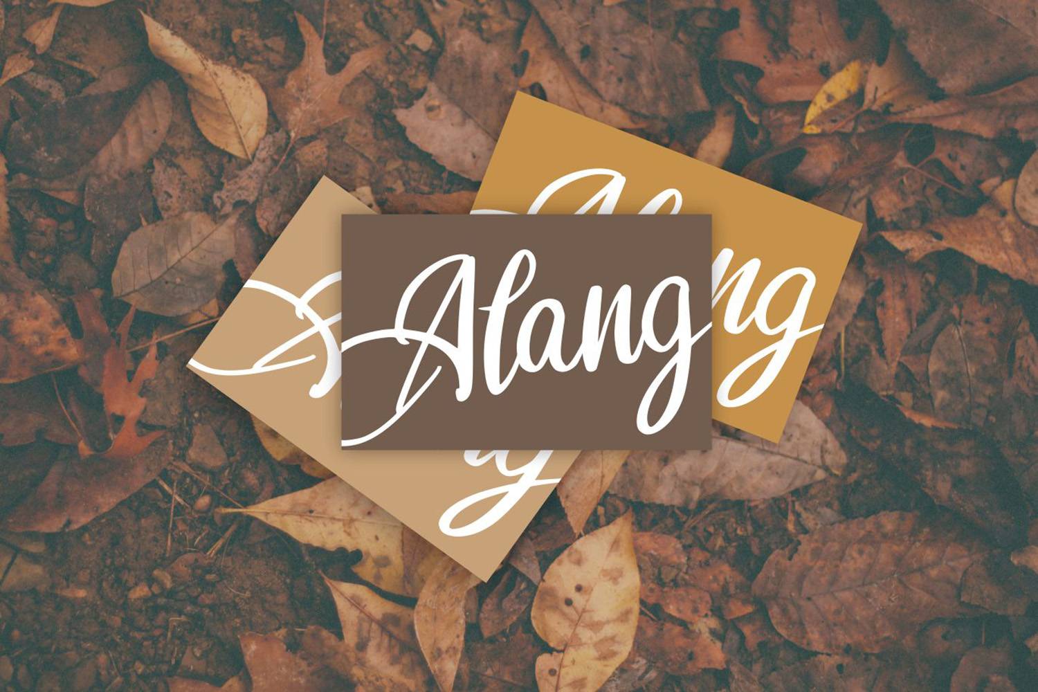 Bugie Classical Font sample