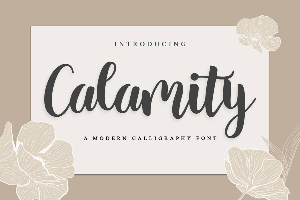 Calamity Script Font sample