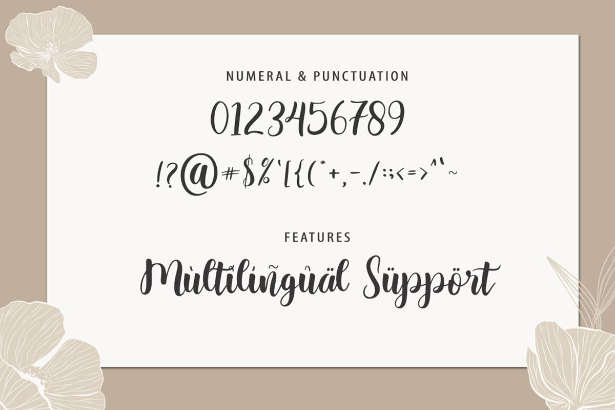 Calamity Script Font sample