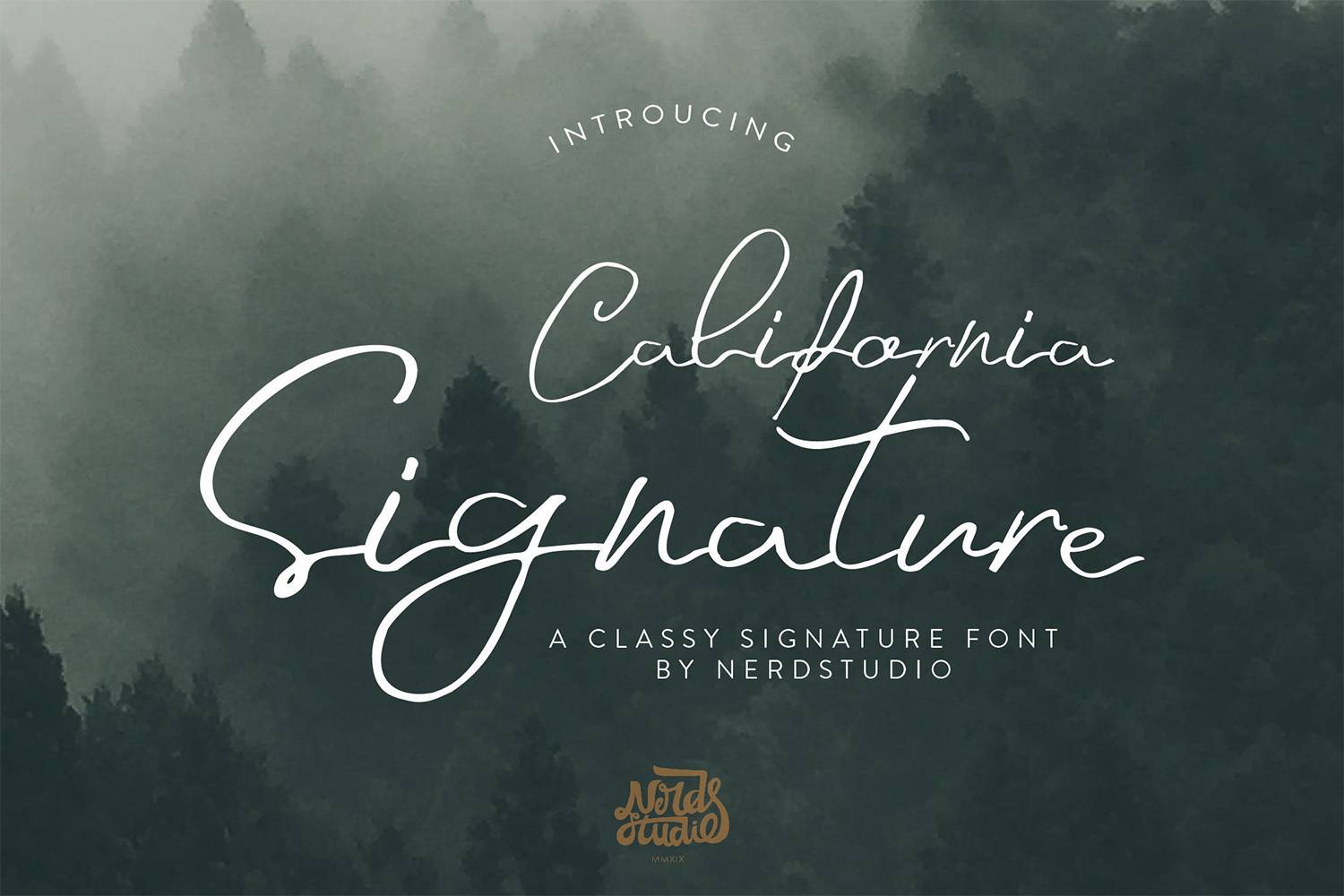 California Signature Font sample
