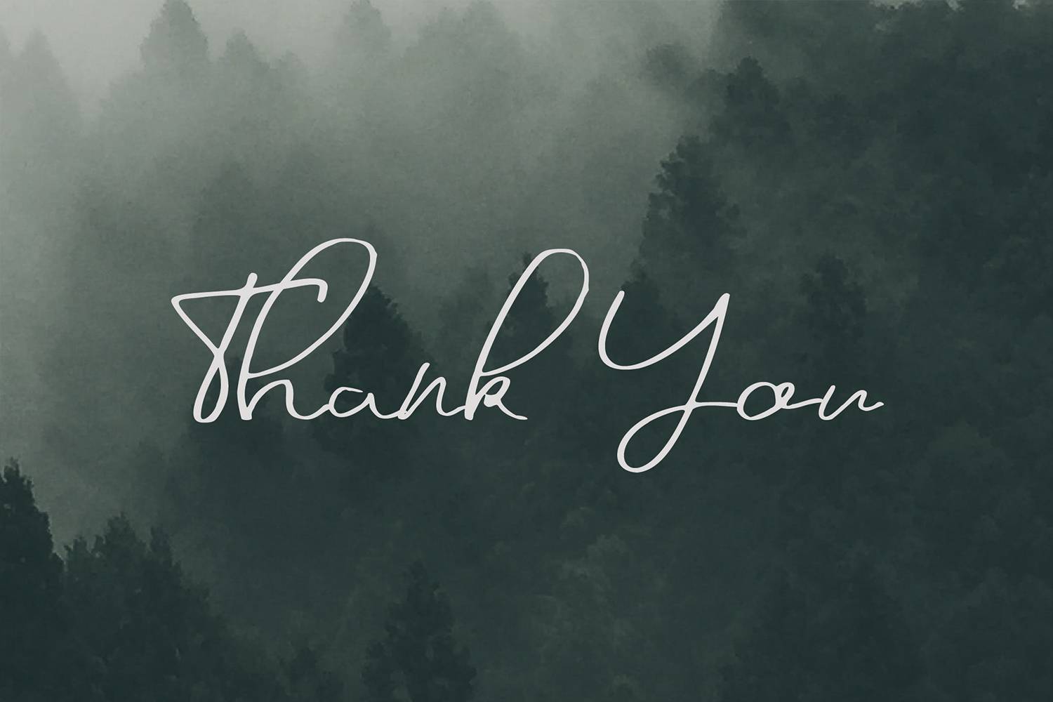 California Signature Font sample
