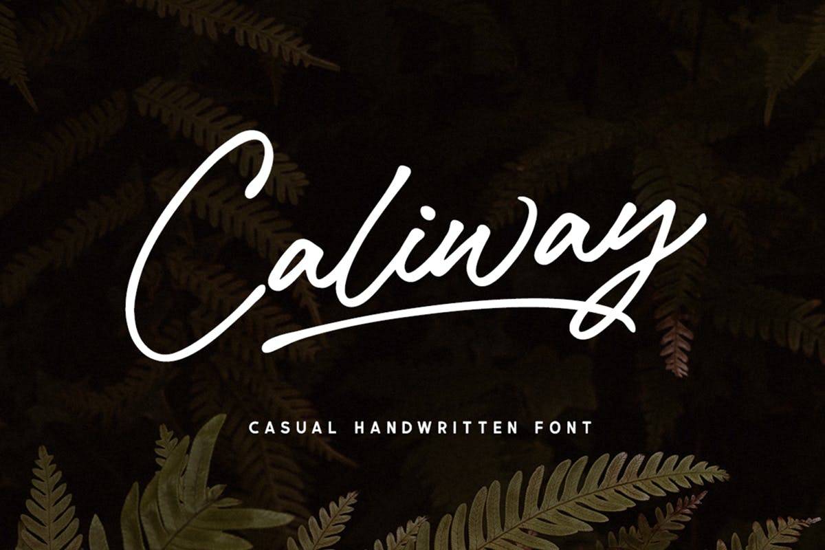 Caliway Casual Handwritten Font sample