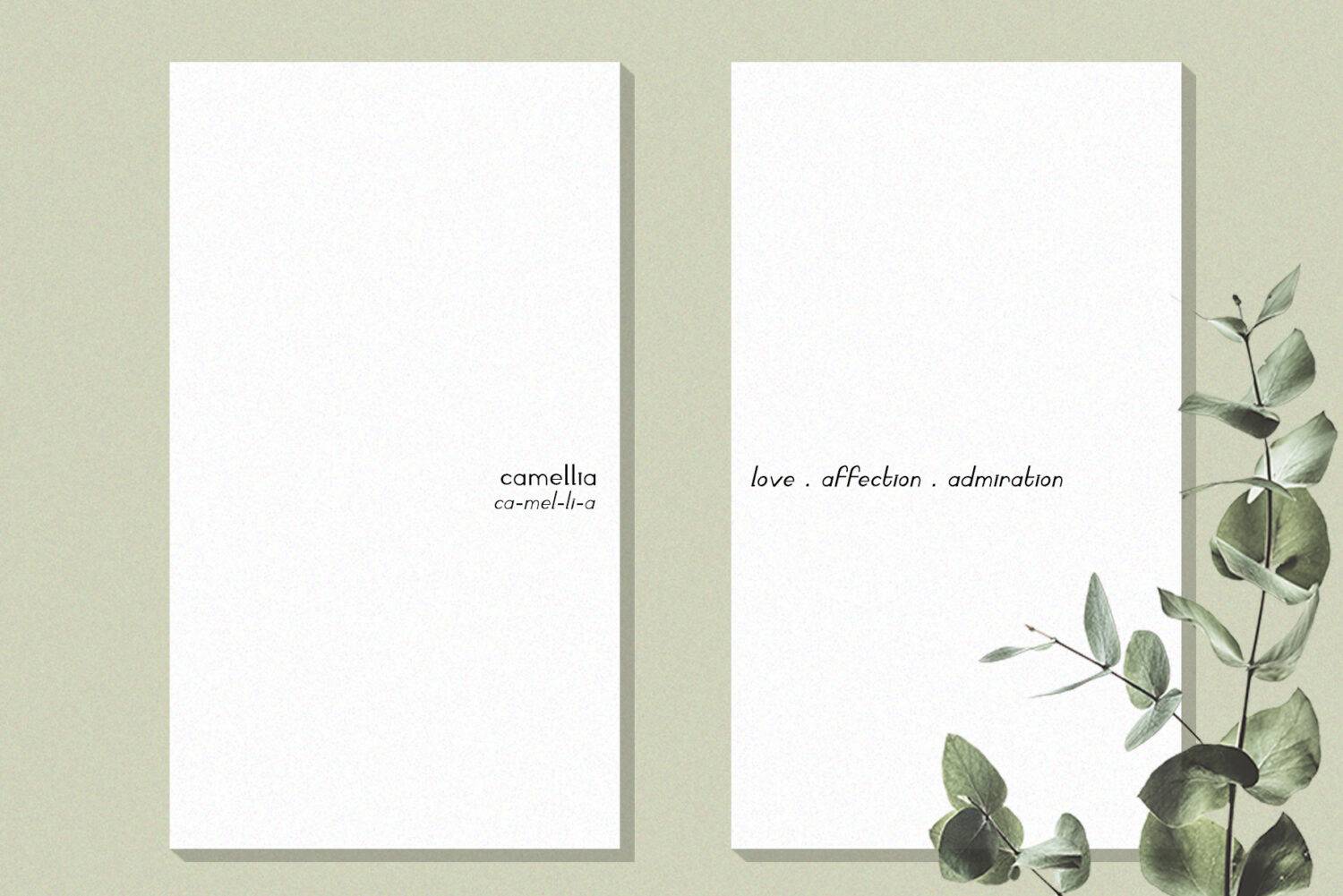 Camaly Font sample