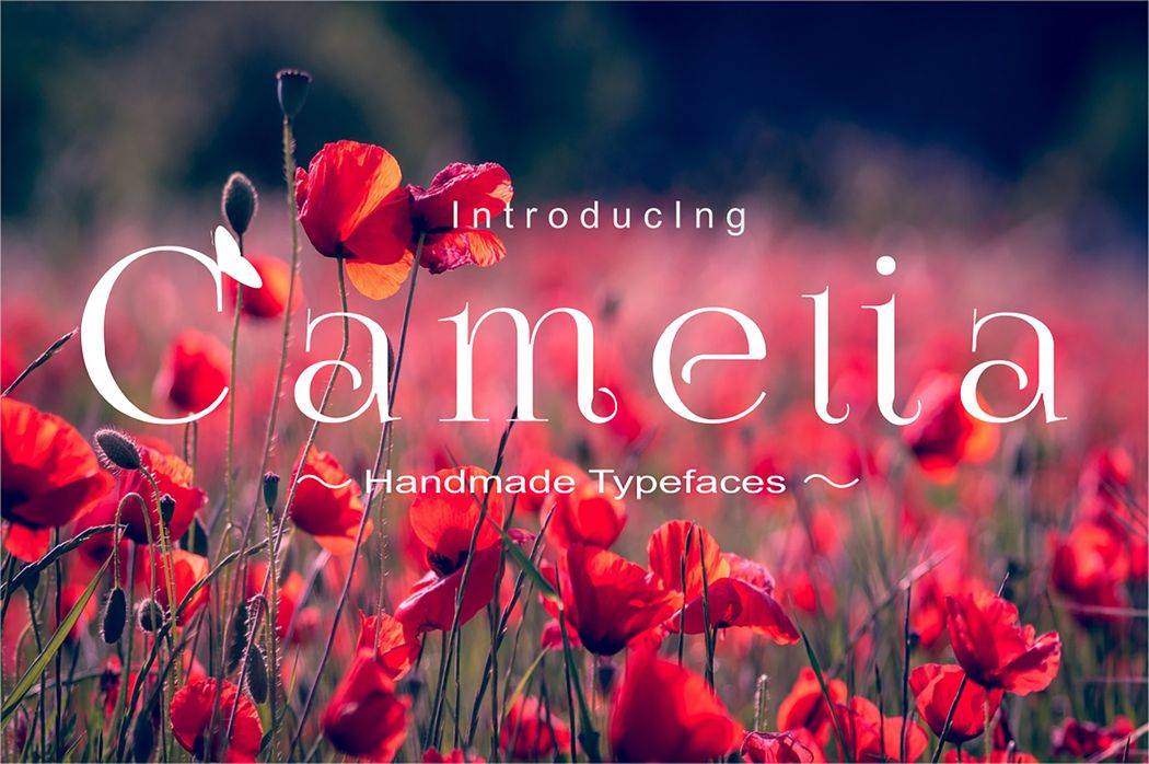 Camelia Font sample