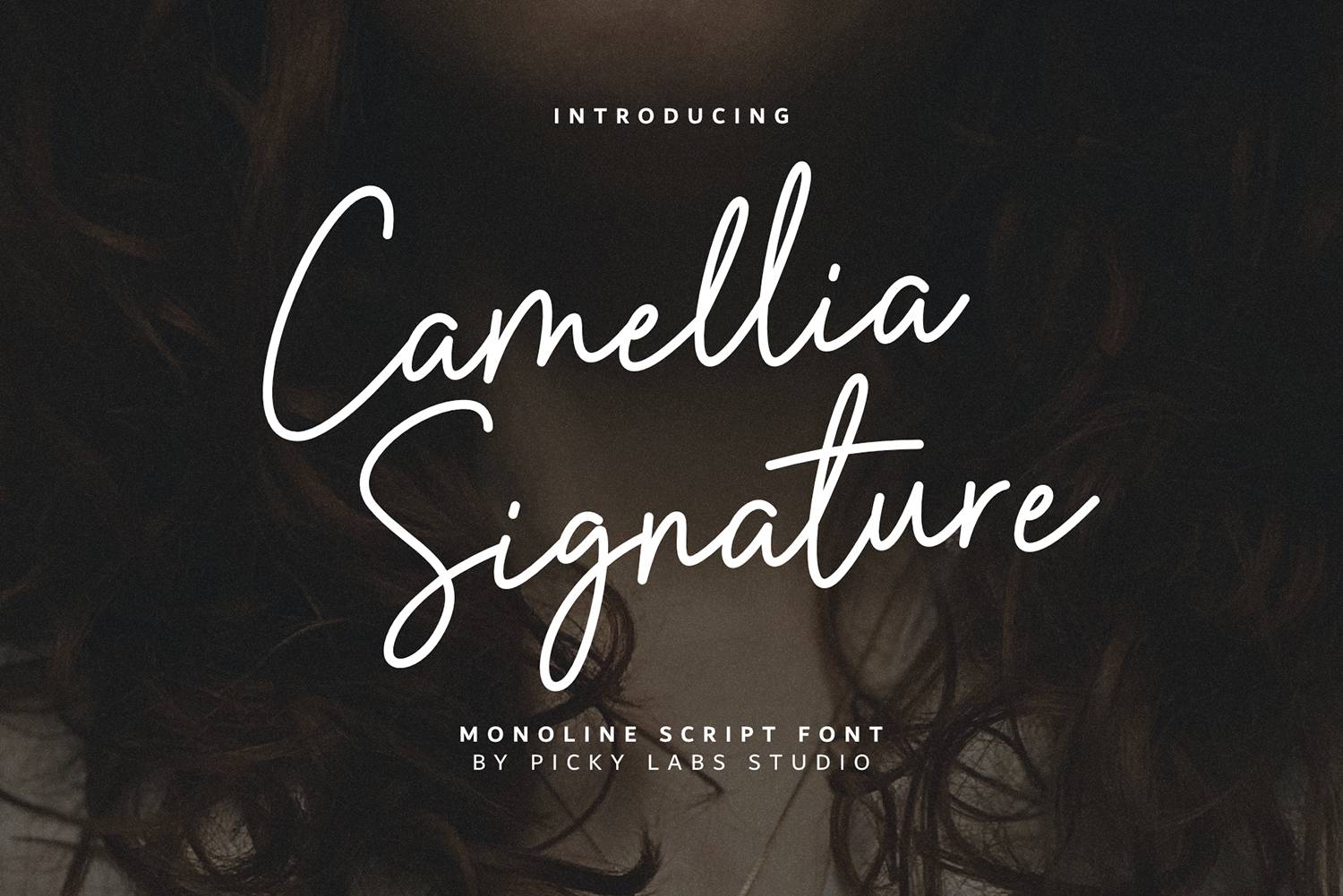 Camellia Signature Font sample