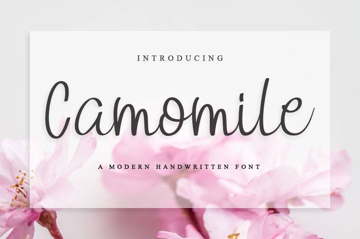 Camomile Font sample