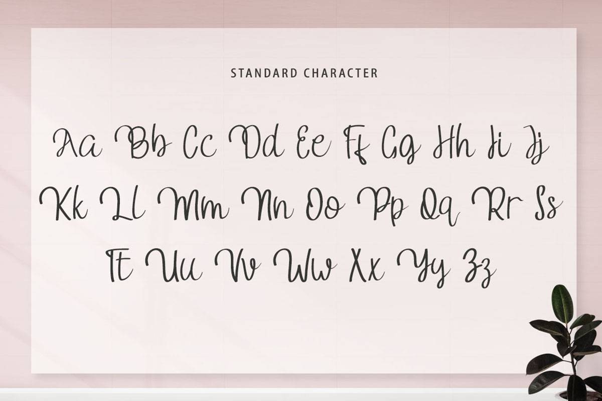 Camomile Font sample