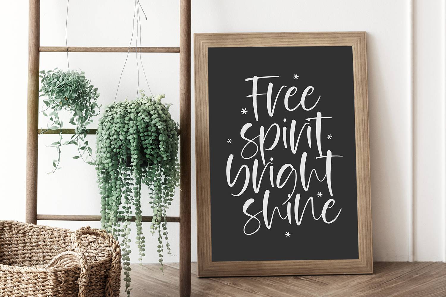 Canfiled Font sample