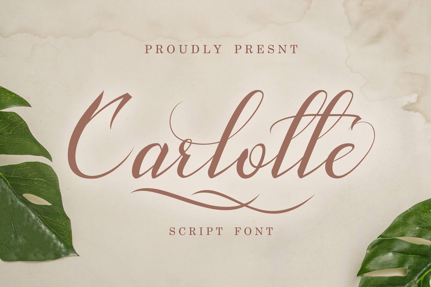 Carlotte Font sample