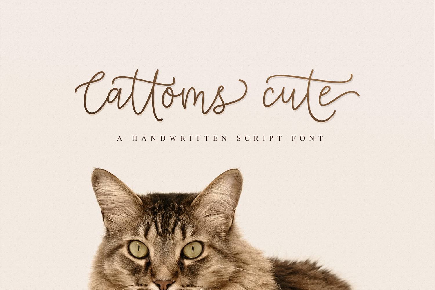 Cattoms Cute Font sample