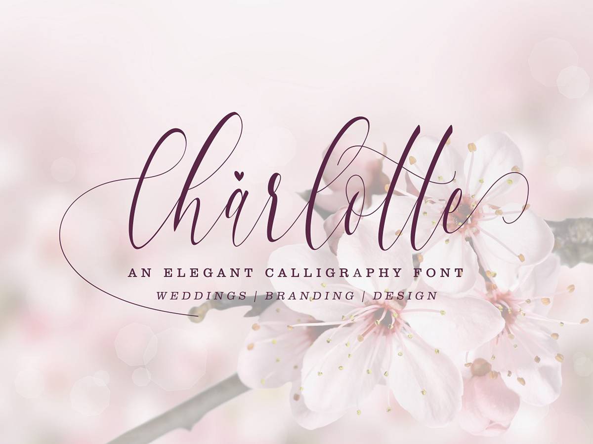 Charlotte Font sample