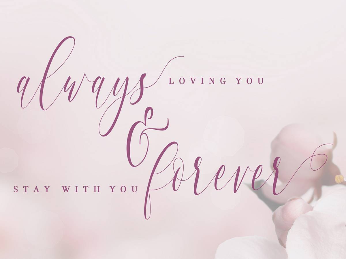 Charlotte Font sample