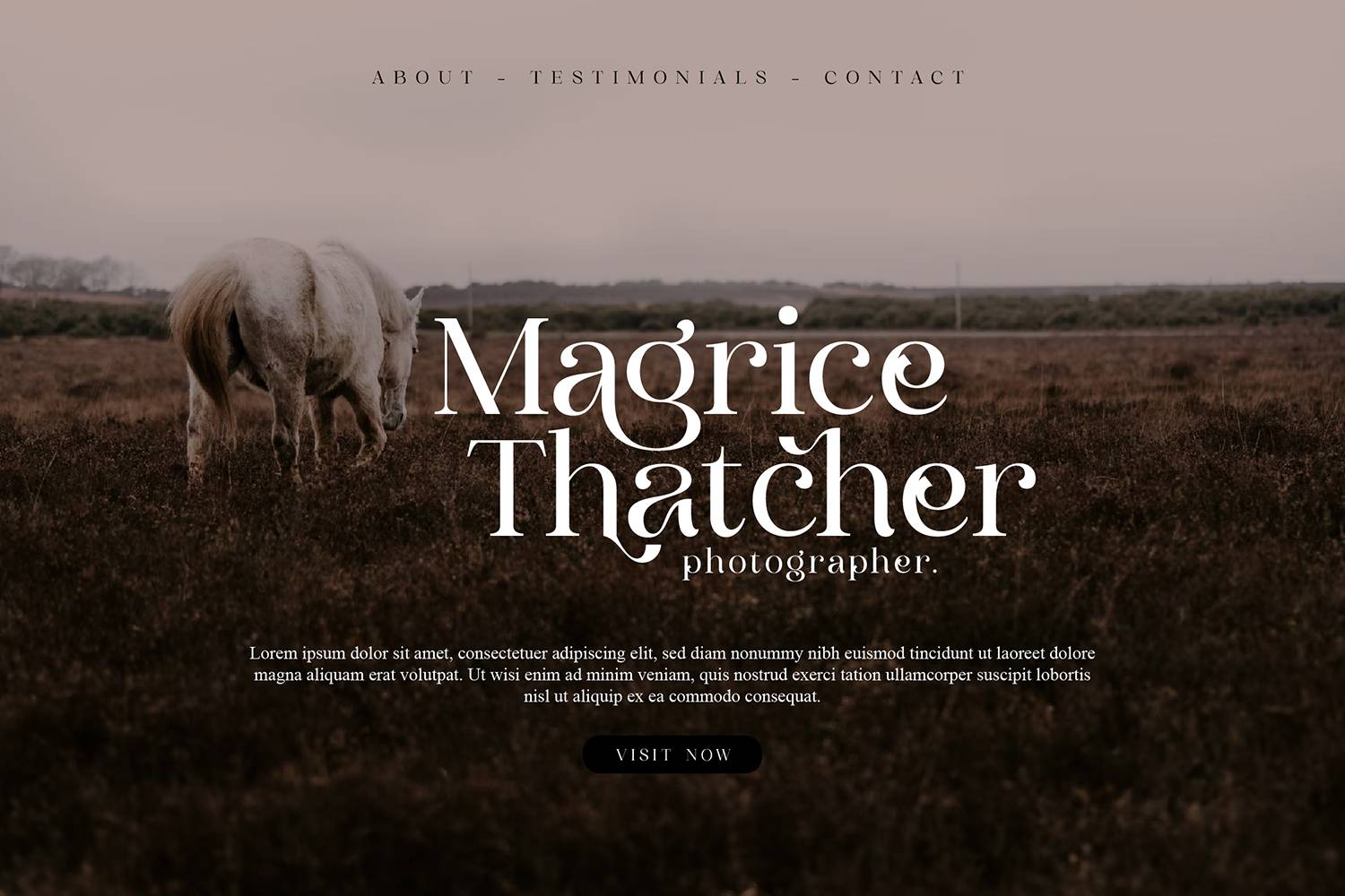 Clarine Typeface Font sample