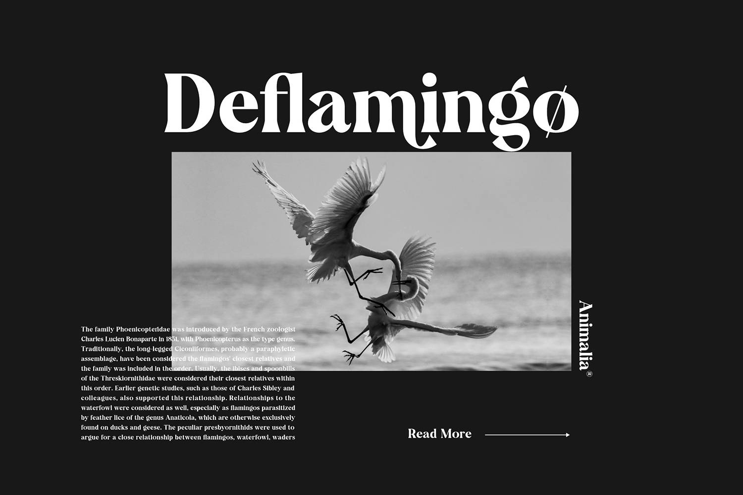 Cramble Font sample
