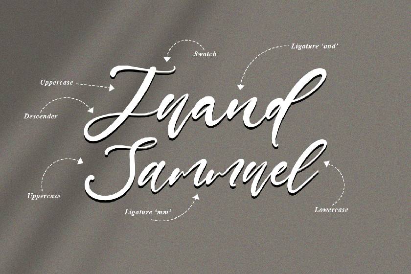 Daniel Jamie Font sample