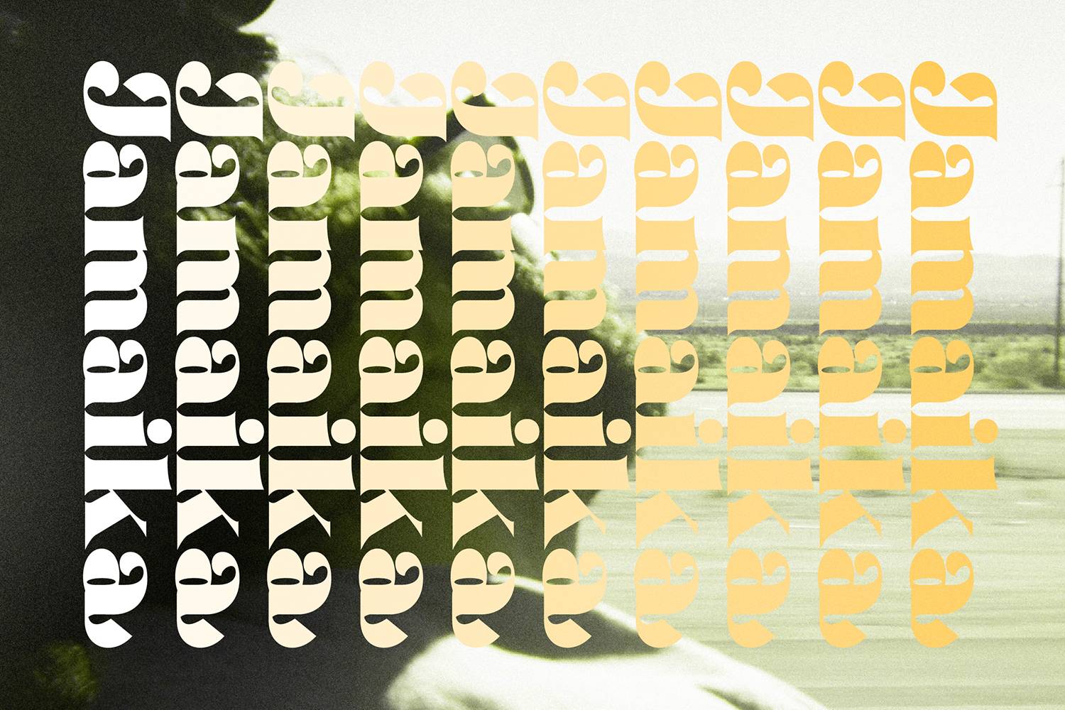 Danver Bridget Font sample