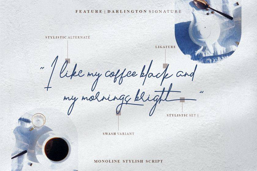 Darlington Signature Font sample