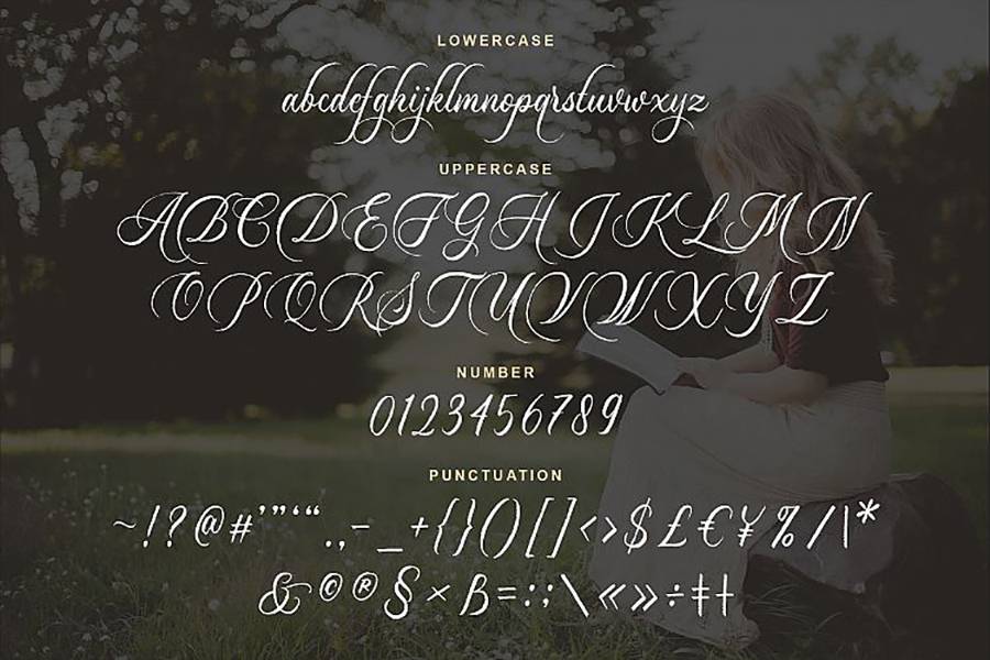 Dayland Script Demo sample