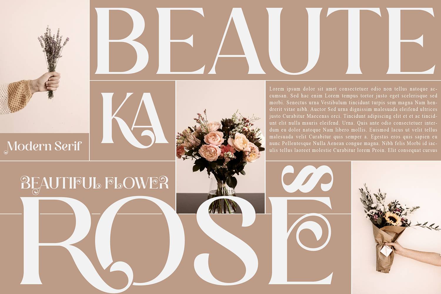 Degila Font sample