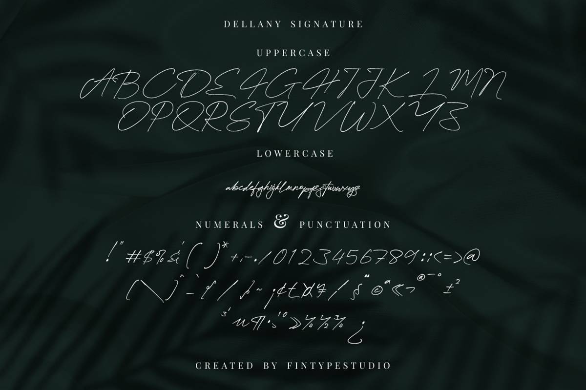 Dellany Signature Font sample