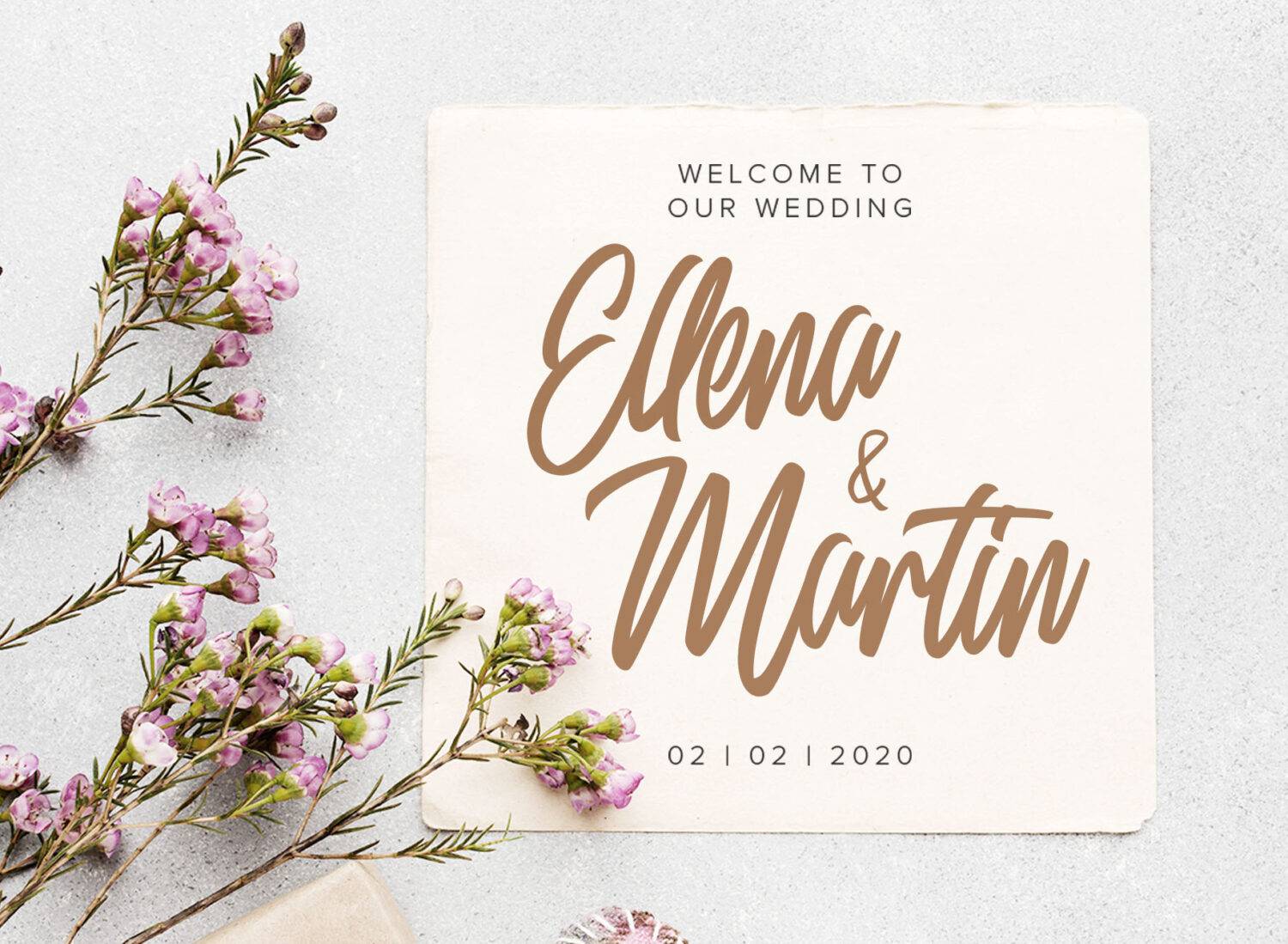 Delphine Font sample