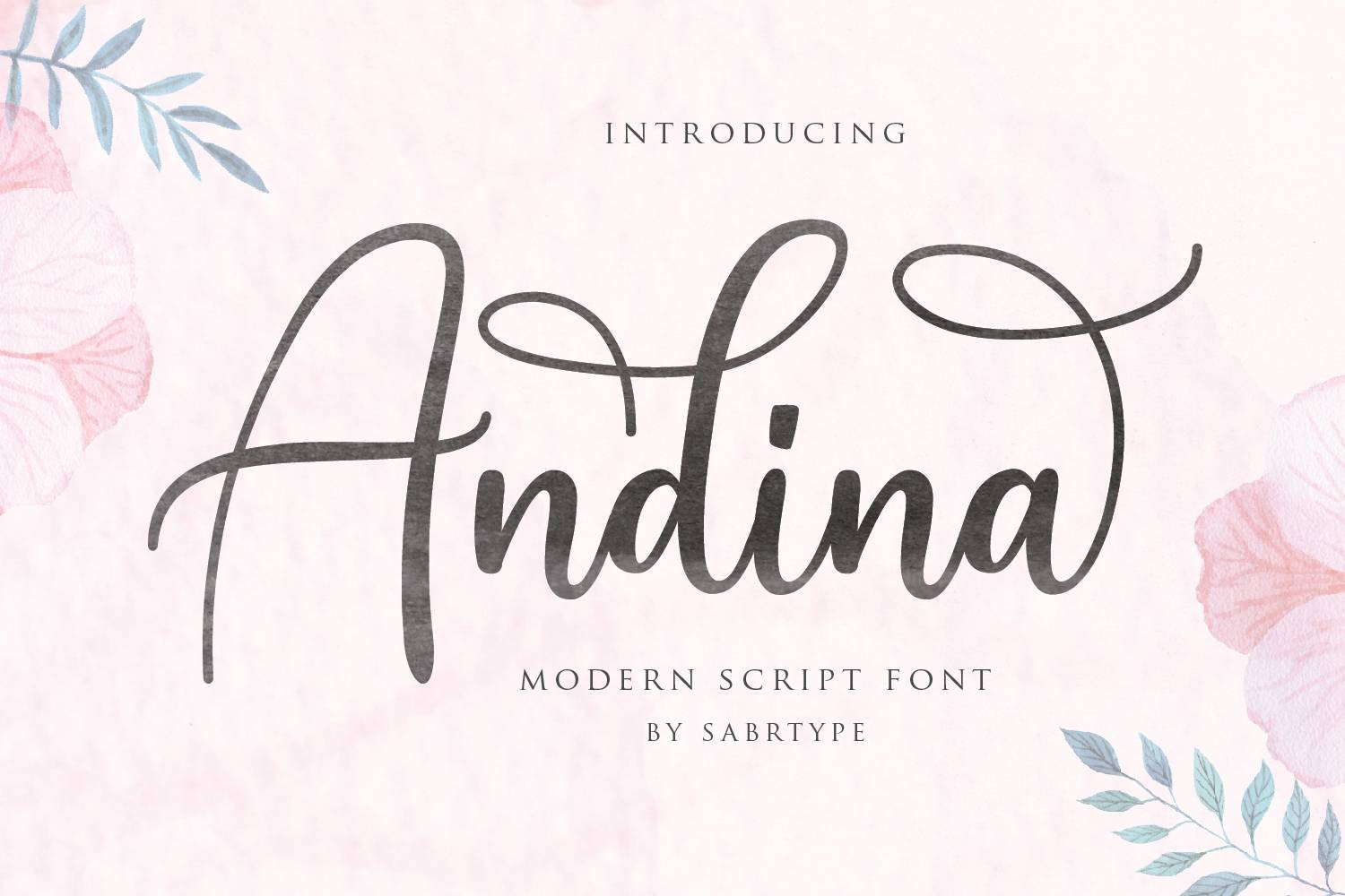 Demo Andina Script Font sample