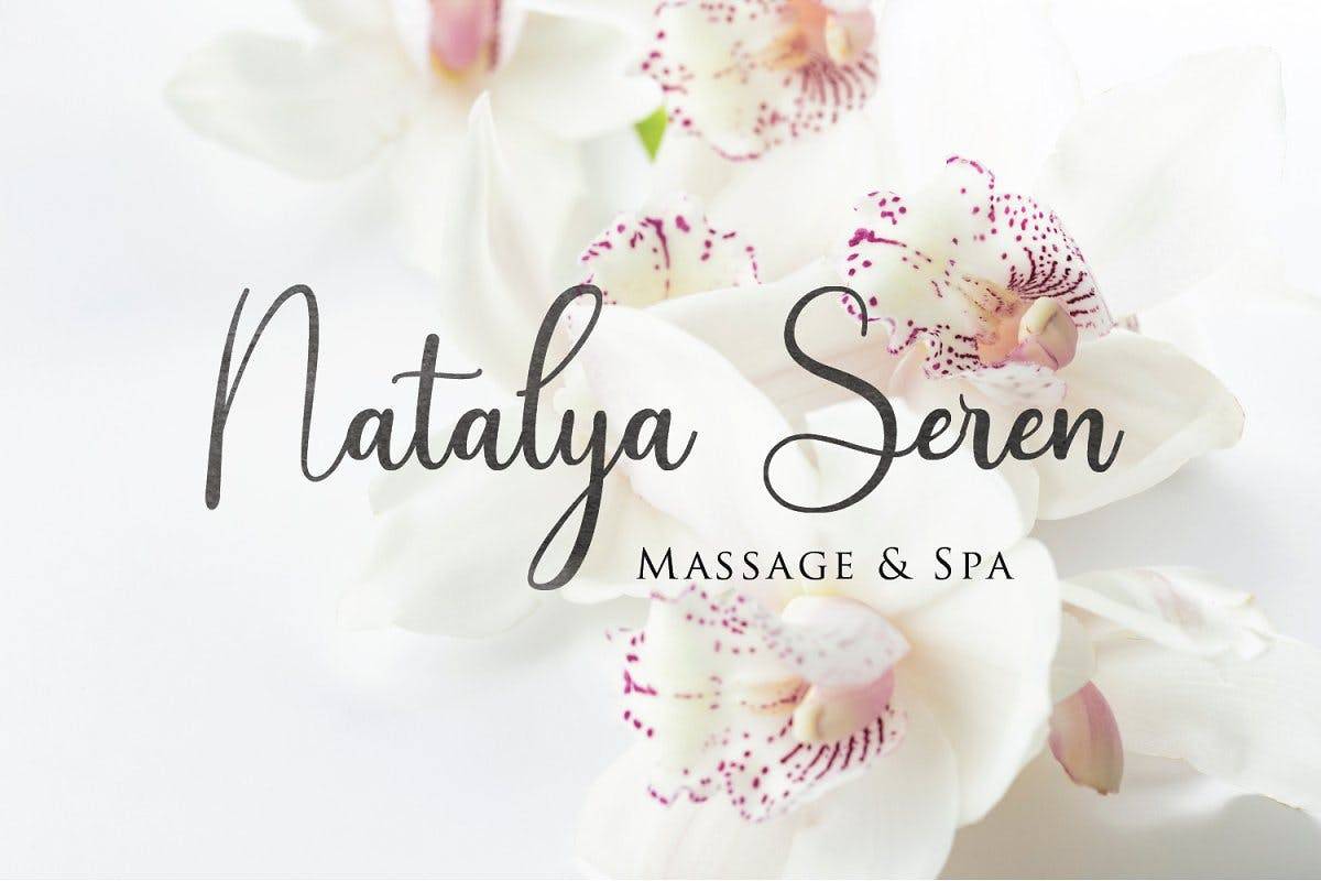 Demo Andina Script Font sample