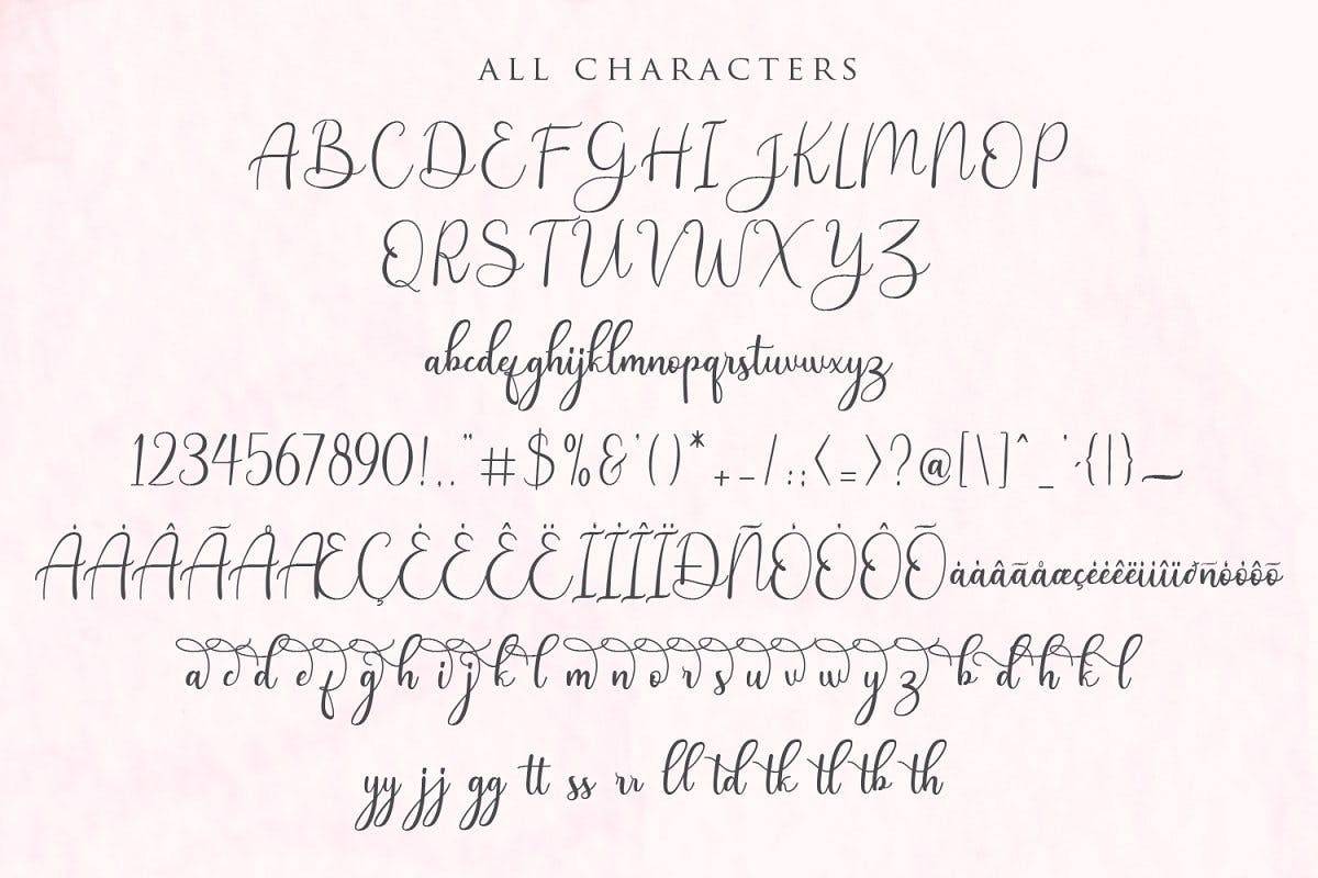 Demo Andina Script Font sample