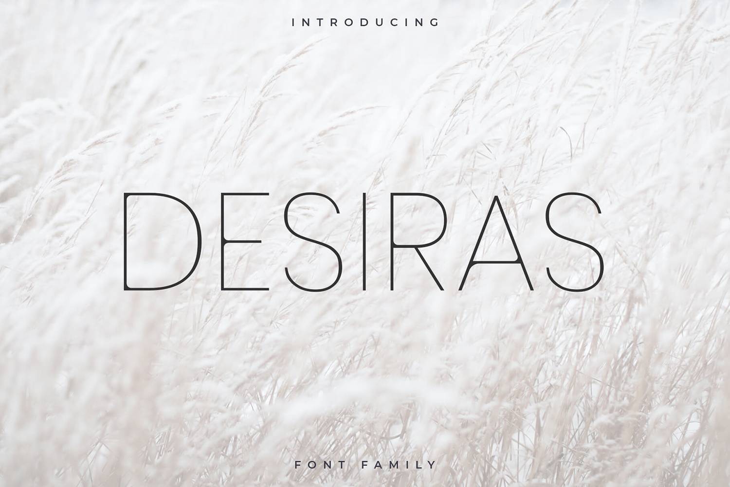 Desiras Font sample