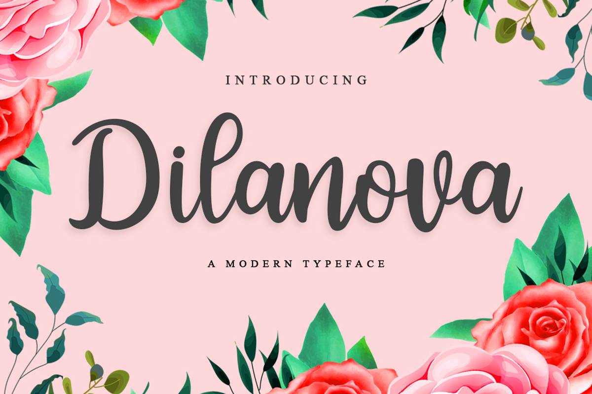Dilanova Script Font sample
