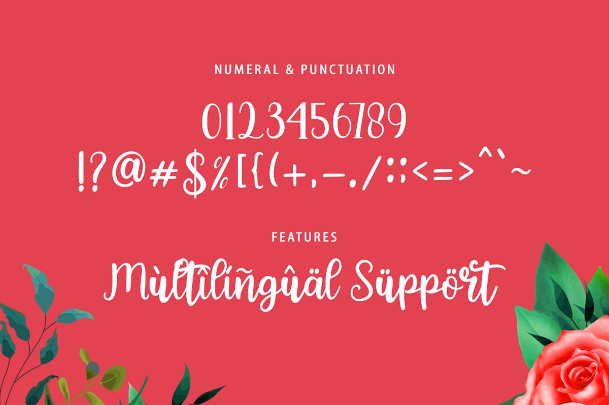 Dilanova Script Font sample