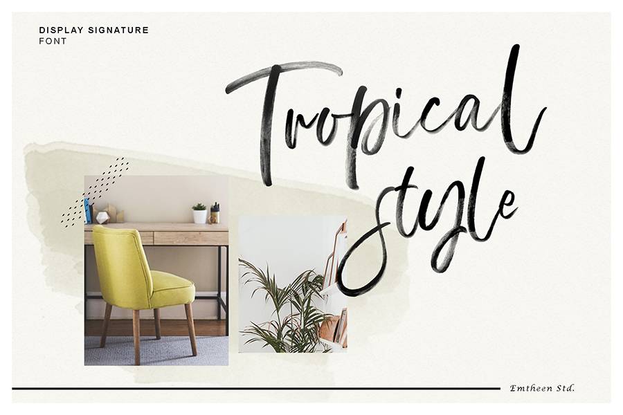 Display Signature Brush Font sample