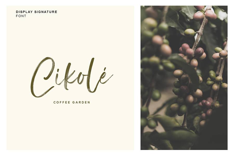 Display Signature Brush Font sample
