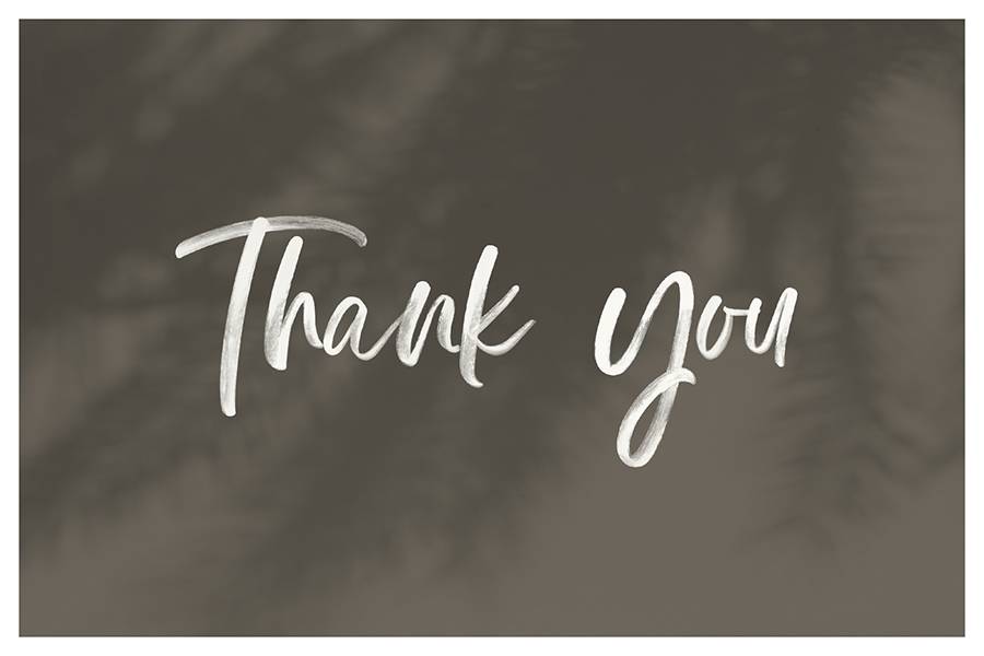 Display Signature Brush Font sample