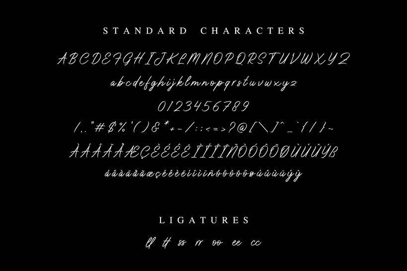 Don Carlitto Font sample