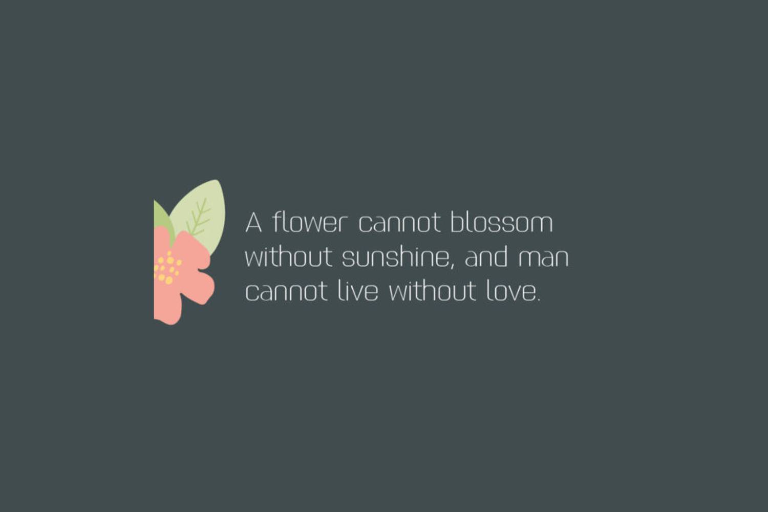 Donne Font sample