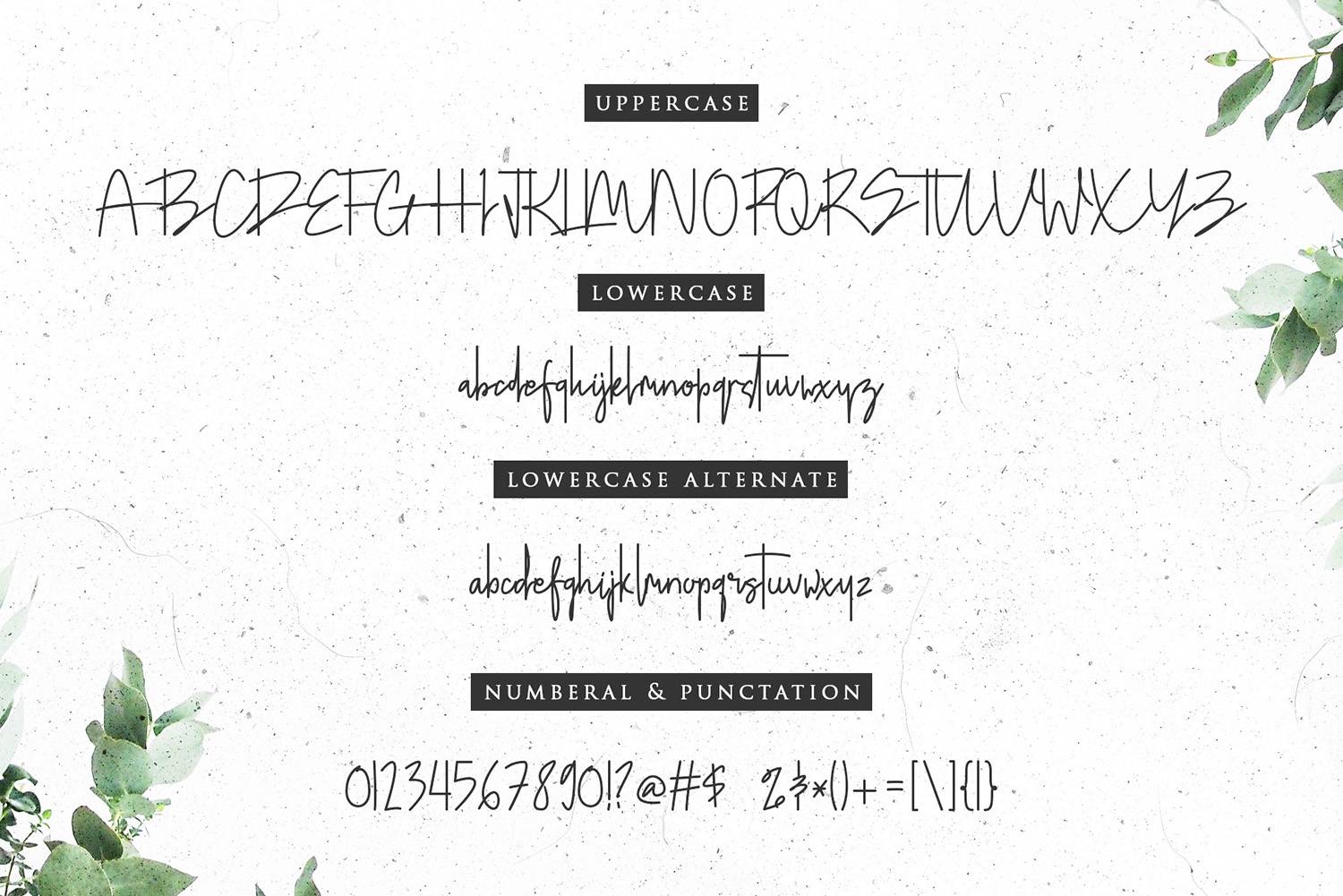 Doupple Signature Font sample