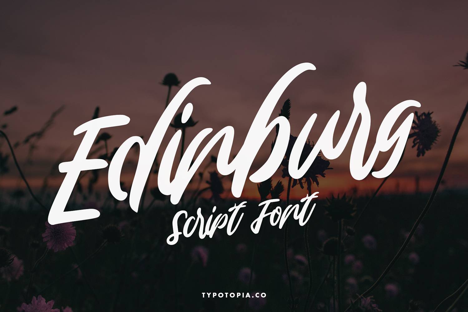 Edinburg Font sample
