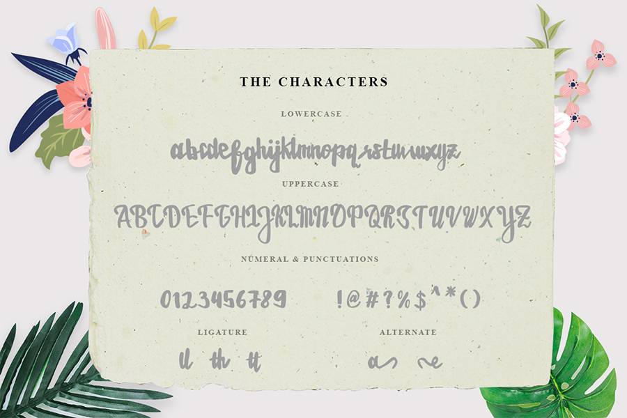 Estrellasa Modern Script Font sample