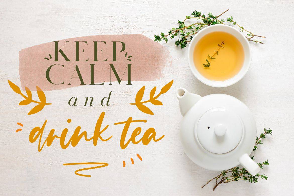 Evangeline Modern Font sample