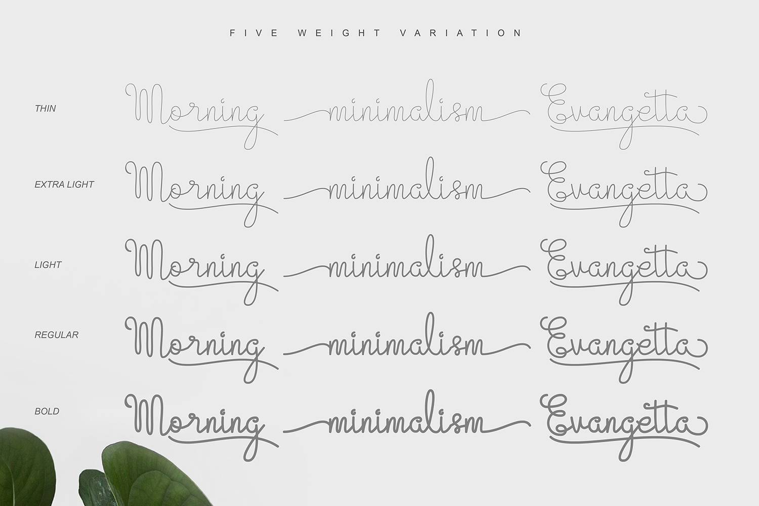 Evangetta Font sample